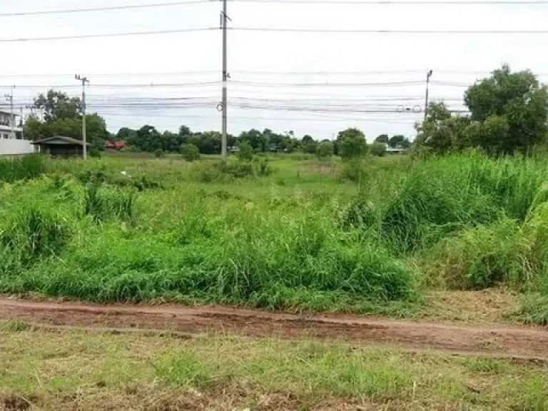 ขายจ้าที่ดินพารวยติดถนนสายเอเซีย อยุธยา-บางปะอิน พื้นที่ทั้งหมด 21ไร่