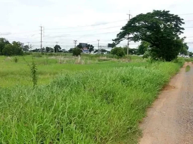 ขายจ้าที่ดินพารวยติดถนนสายเอเซีย อยุธยา-บางปะอิน พื้นที่ทั้งหมด 21ไร่