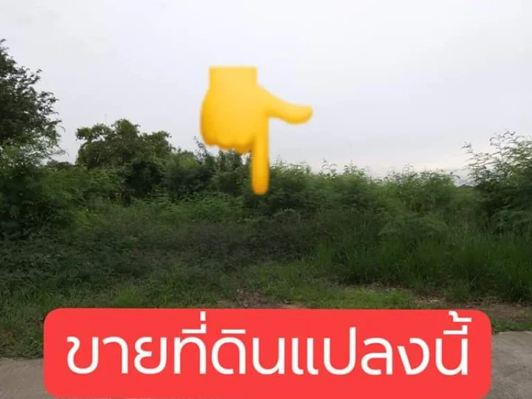 ขายที่ดินถมแล้ว 2-3-46 ไร่ ใกล้ บจกยาอินไทย ถนน วัดลาดปลาดุก