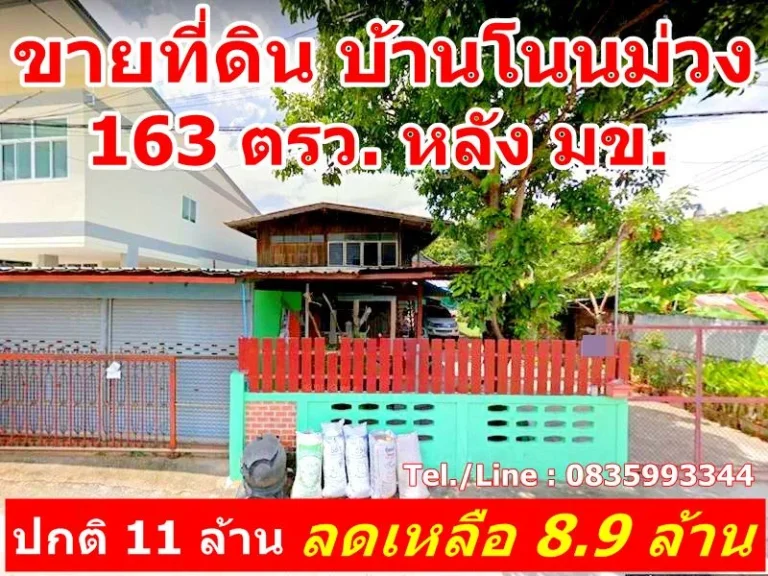 ขายที่ดิน บ้านโนนม่วง 163 ตรว หลัง มข ตศิลา อเมืองขอนแก่น จขอนแก่น