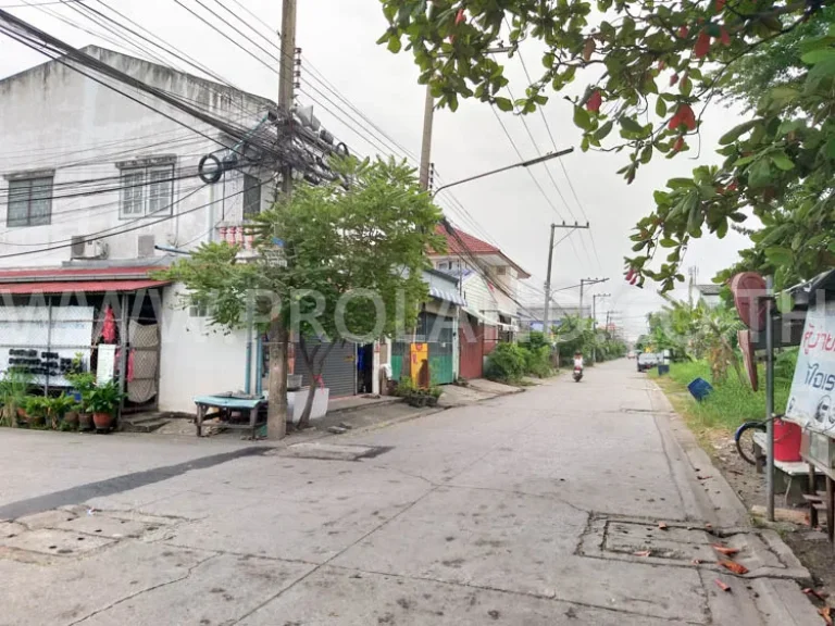 ที่ดิน 70ตรว ขายราคาประเมิน รังสิต-นครนายก 33 คลอง 2 ปทุมธานี ใกล้ดรีมเวิลด์ สาธารณูปโภคครบ ปากซอยมีาป้ายรถเมล์