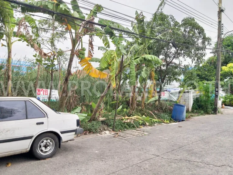 ที่ดิน 70ตรว ขายราคาประเมิน รังสิต-นครนายก 33 คลอง 2 ปทุมธานี ใกล้ดรีมเวิลด์ สาธารณูปโภคครบ ปากซอยมีาป้ายรถเมล์