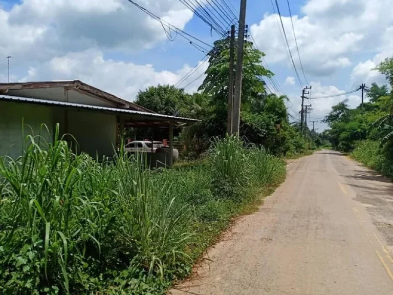 ขายที่ดินเปล่า จังหวัดปราจีนบุรี เนื้อที่ 0-1-84 ไร่ ที่สวย ทำเลดี