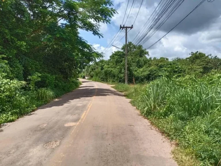 ขายที่ดินเปล่า จังหวัดปราจีนบุรี เนื้อที่ 0-1-84 ไร่ ที่สวย ทำเลดี