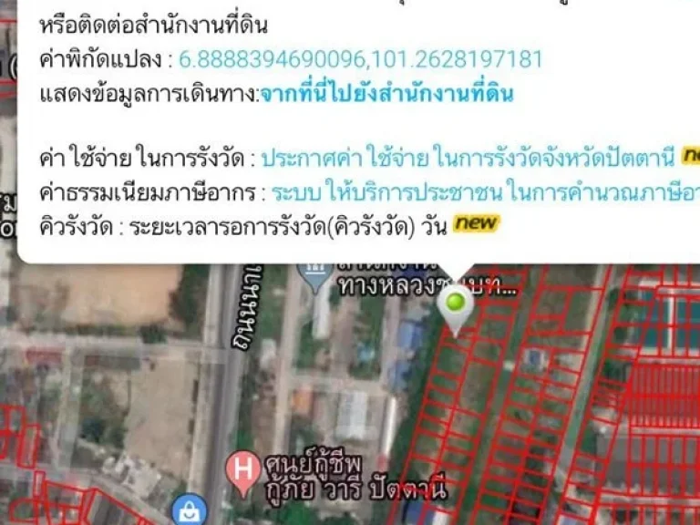 ขายที่ดิน ถูกๆ - 267 ตรว ถนนนาเกลือ ซอย อนามัยตรงข้ามยูโย ก่อนถึงสะพานปลา อเมือง จปัตตานี