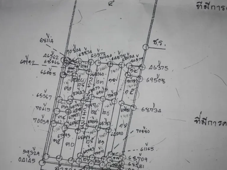 ขายที่ดิน ถูกๆ - 267 ตรว ถนนนาเกลือ ซอย อนามัยตรงข้ามยูโย ก่อนถึงสะพานปลา อเมือง จปัตตานี