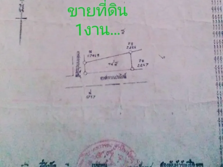 ที่ดินเปล่า 1 แปลง 1งานจ พิษณุโลก น้ำไม่ท่วม