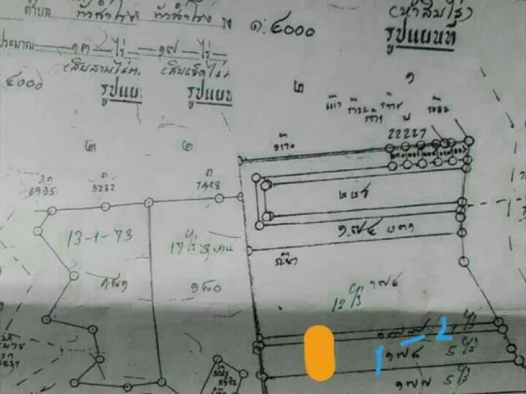 ขายที่ดินในนิคมอุสาหกรรม gateway แปลงยาว จฉะเชิงเทรา เป็นพื้นที่สีม่วงเหมาะสร้างโรงงาน