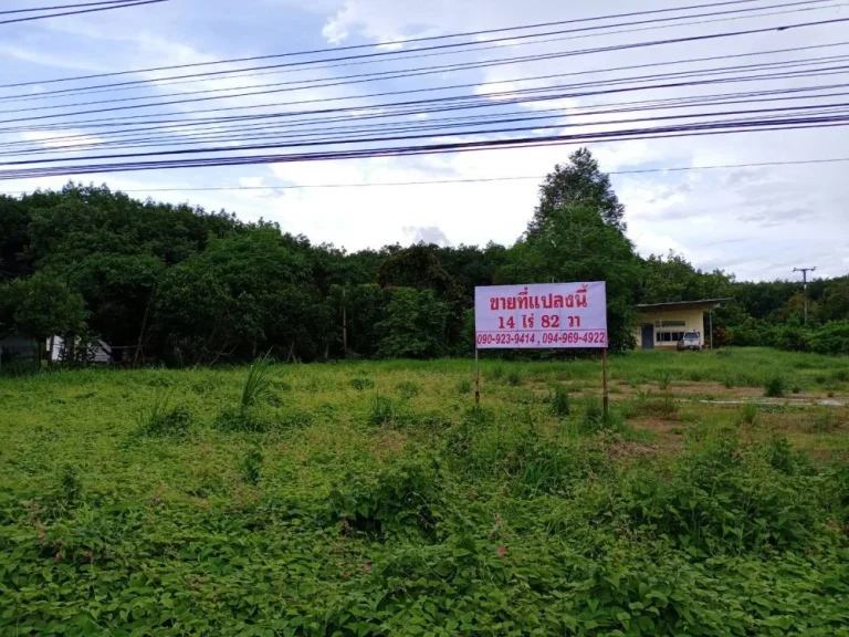 ขายที่ 14-0-82 ไร่ จจันทบุรี ติดถนนสุขุมวิท เหมาะ สร้างโรงงาน ล้งทุเรียน หรือ โรงแรม รีสอร์ท