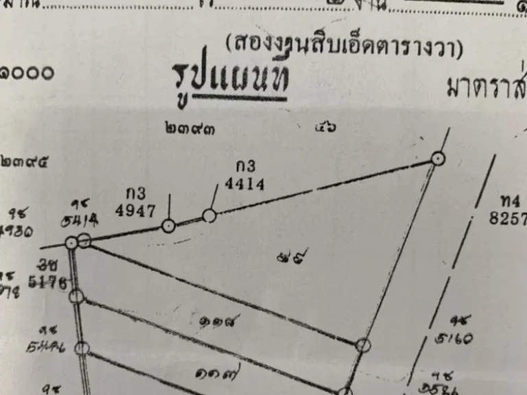 ขายให้เช่า อาคารพาณิชย์ 3ชั้นครึ่งลาดพร้าว กรุงเทพฯ