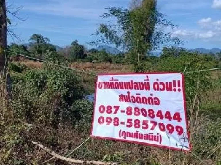 ที่ดินสวย ใกล้แหล่งชุมชน น้ำประปาไฟฟ้าเข้าถึง อเมือง จอุตรดิตถ์