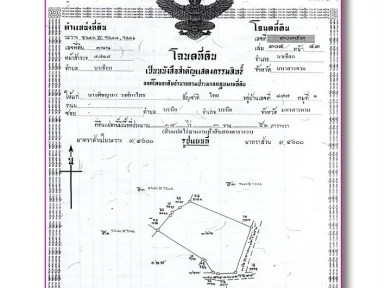 ขายด่วน สวนตาซาย 18352ไร่ อนาเชือก จมหาสารคาม