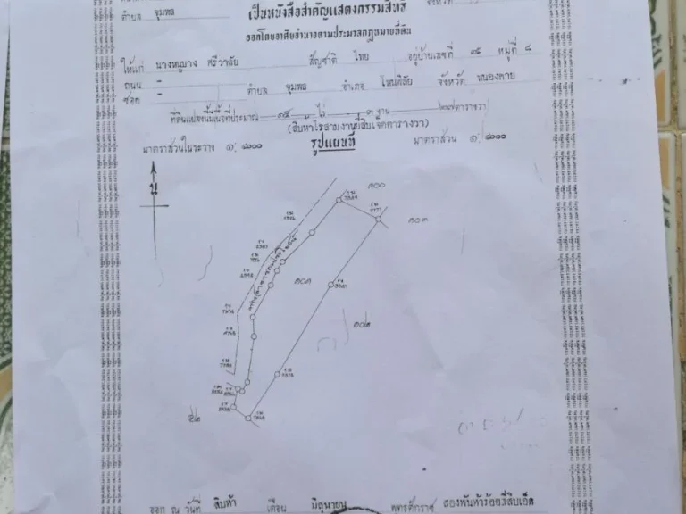 ขายด่วนที่ดิน22ไร่