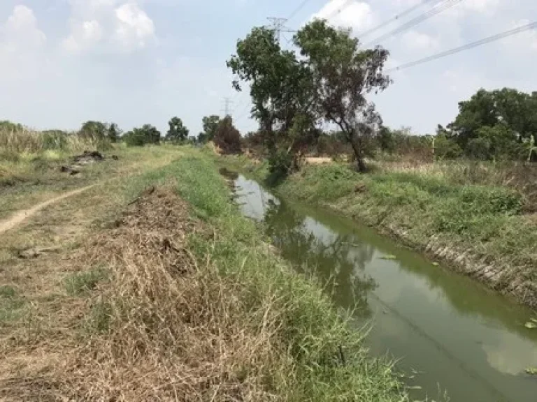 ที่ดินเปล่า 6 ไร่ สุดท้าย เลียบคลอง 12 จังหวัดปทุมธานี