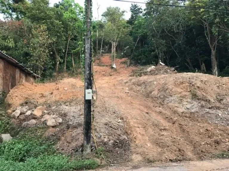 ขายที่ดิน ติดถนนรอบเกาะยอ วิวทะเลสาปลงขลา จังหวัดสงขลา