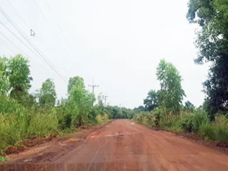 ขายถูกที่ดินอุบลราชธานี ใกล้พุทธสถานราชธานีอโศก อวารินชำราบ