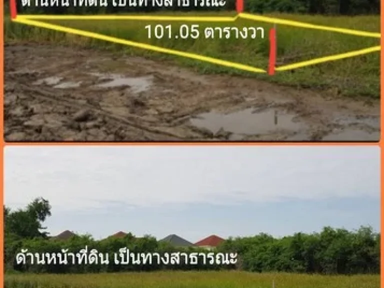 ขายที่ดิน 1016 ตรวา ซอยศรีด่าน 22 ถนนศรีนครินทร์ แปลงสีเหลี่ยม ราคาถูกมาก