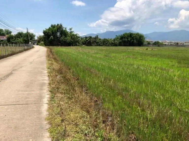 ขายที่ดินสันโป่งห่างตัวเมืองแม่ริม 5 km ราคาถูก