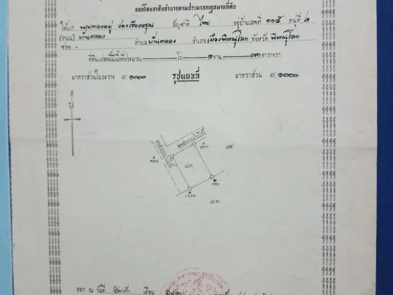 ขายที่ดินเปล่า 100 ตรว ถมแล้ว ซพิษณุโลกเมืองใหม่ ห่างเซ็นทรัลพิษณุโลกเพียง 17 กม