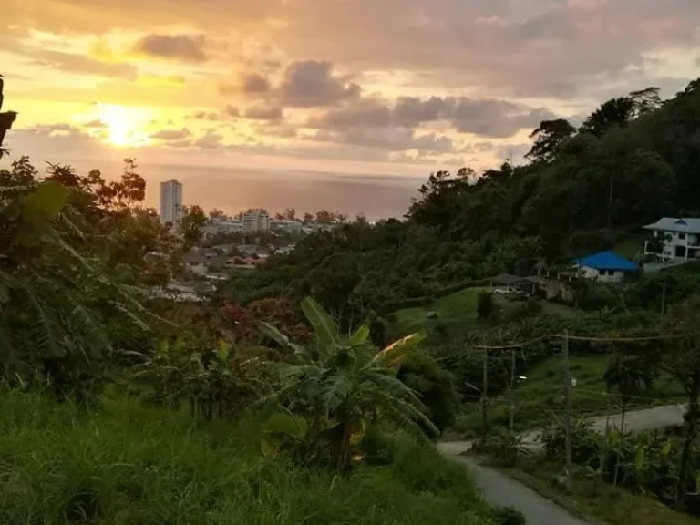 ขายที่ดินซีวิวหาดกะรนในซปฎัก 20 เนื้อที่ 1 ไร่เศษ ใกล้ทะเลขายเหมา 12 ล้าน