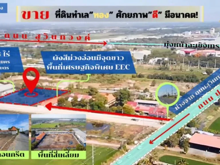 ขายเช่า ที่ดิน ทำเลทองในพื้นที่เศรษฐกิจพิเศษ EEC