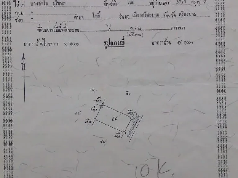 ขายที่ดินเปล่า1งานเขตเทศบาลอเมือง