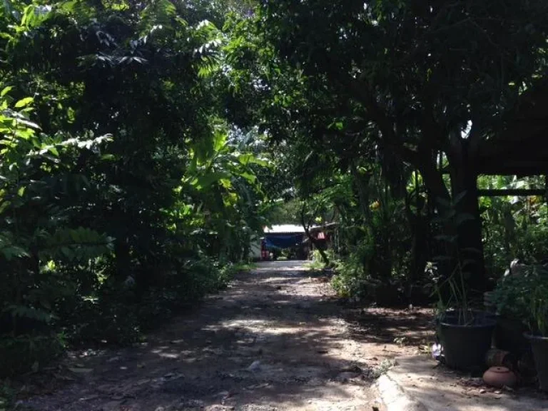 ขายที่ดิน ใกล้สถานีรถไฟฟ้าสายสีม่วง ซนครอินทร์ 1 ขนาด 2 ไร่ เหมาะสร้างโครงการหมู่บ้านจัดสรร