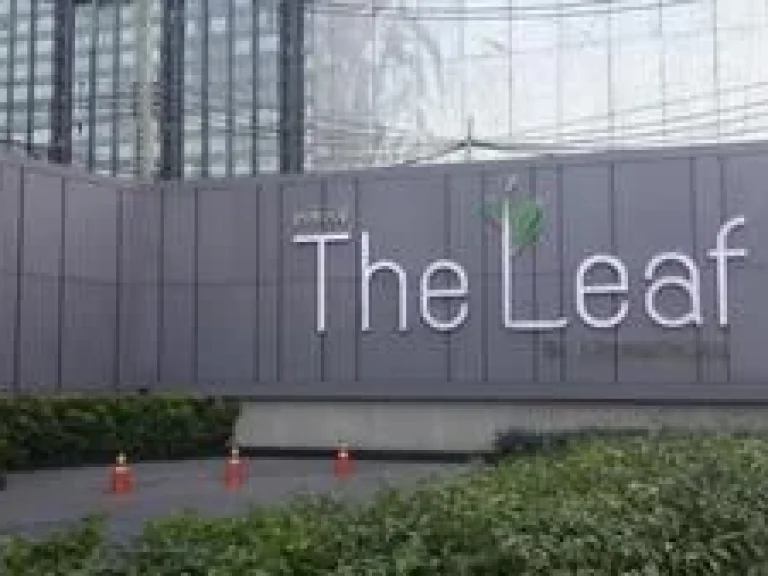 ขายคอนโด The Leaf เดอะลีฟ พัฒนาการ 3038ตรม 1นอน ชั้น11 225ล้าน