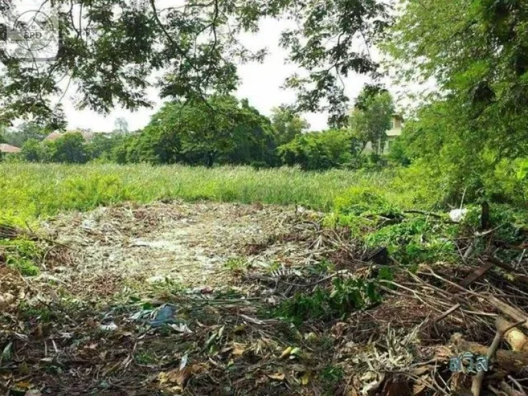 ขายที่ดินทำเลทองสร้างคอนโด ถนนกรุงเทพกรีฑาตัดใหม่ เนื้อที่