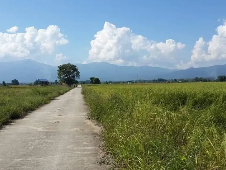 ที่ดินวิวเขาติดถนนลาดยางราคาไม่แพง อแม่ริม จเชียงใหม่