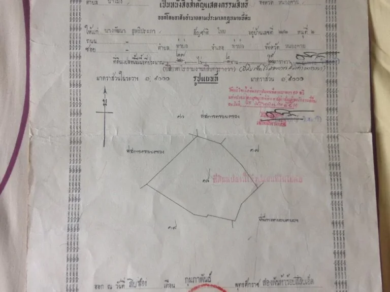 ขายที่ดินเพื่อการเกษตร 27 ไร่ ดินดี ติดคูน้ำ เจ้าของขายเอง