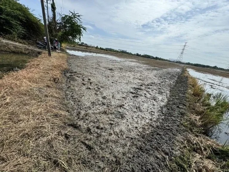 ขายด่วนที่ดินติดถนนใหญ่ โซนโรงงานเฒ่าแก่น้อย โรจนะ ขนาด 5 ไร่