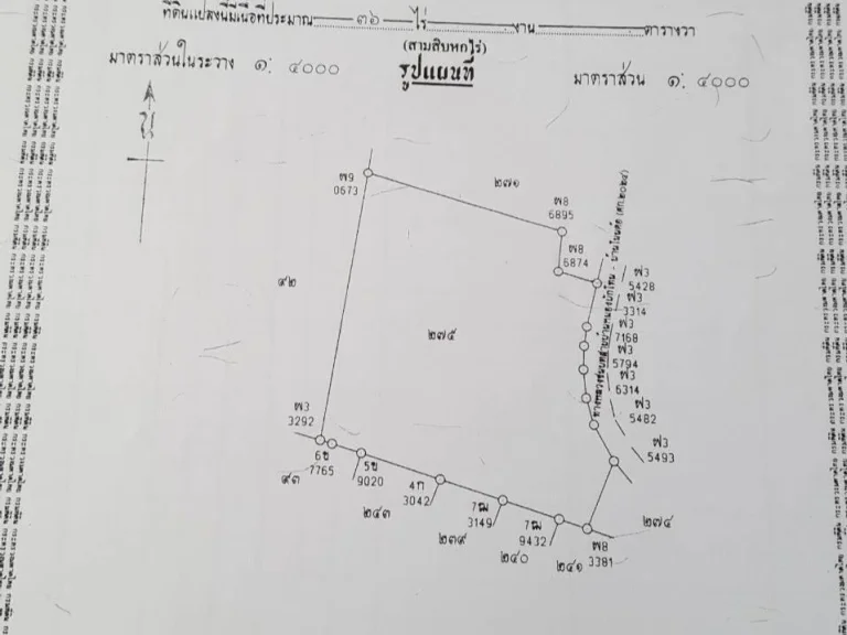ที่ดินแปลงใหญ่ จำนวน 43 ไร่ ติดถนน 400 เมตร
