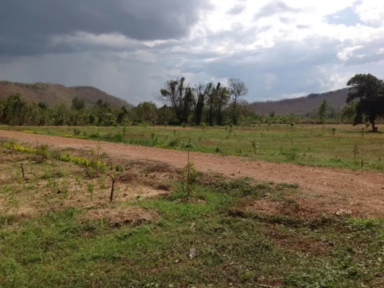 ที่ดิน ตกลัดหลวง อท่ายาง จเพชรบุรี โฉนด 100ตรว ใกล้แก่งกระจาน แวดล้อมด้วยแหล่งท่องเที่ยว 25แห่ง โครงการตั้งอยู่ชายแม