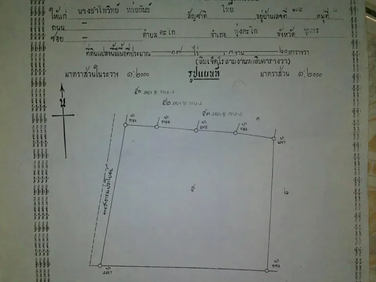 ขายสวนทุเรียน 17 ไร่ 3 งาน