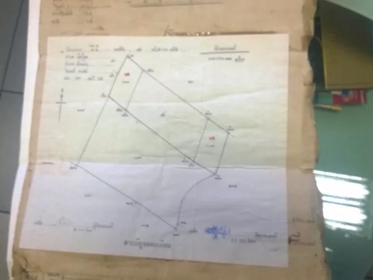 ขายที่ดิน 3 ไร่ 2 งาน