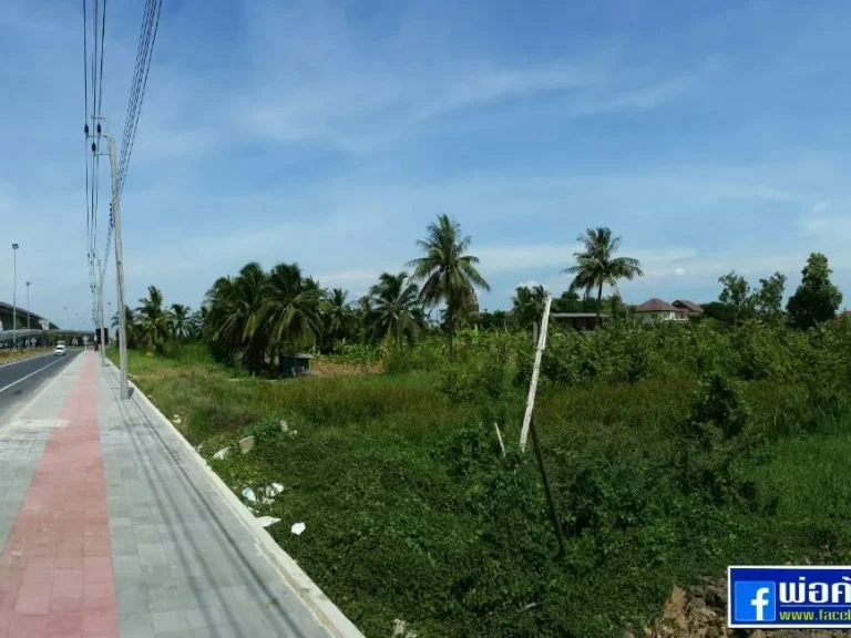 ขายที่ดิน1ไร่เศษ ติดถนนชัยพฤกษ์