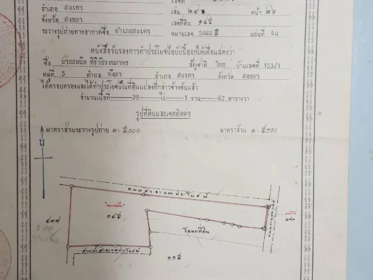 สวนยางพาราติดหน้าถนนกาญจนวนิช