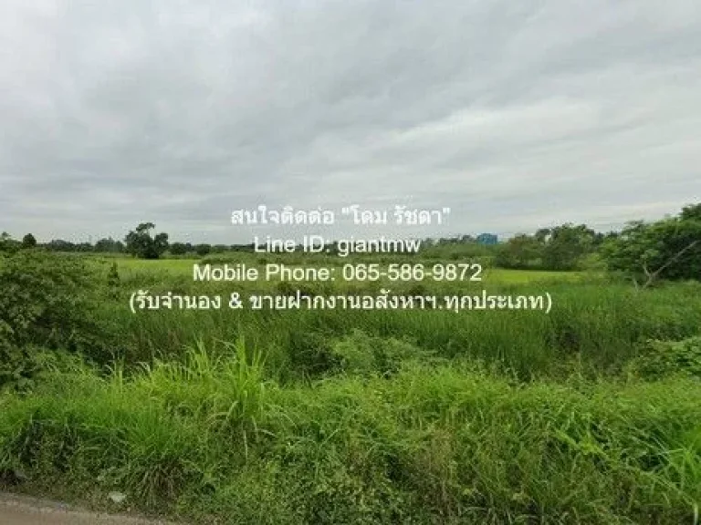 ขายที่ดินเปล่า ติดทางหลวงหลัก 2 สาย บางปะหัน