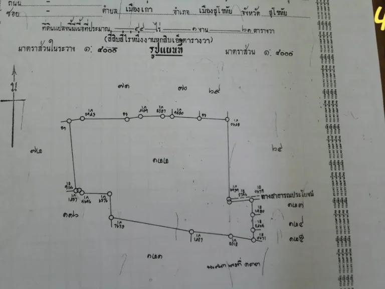 ขายที่ดินราคาถูกสุโขทัย