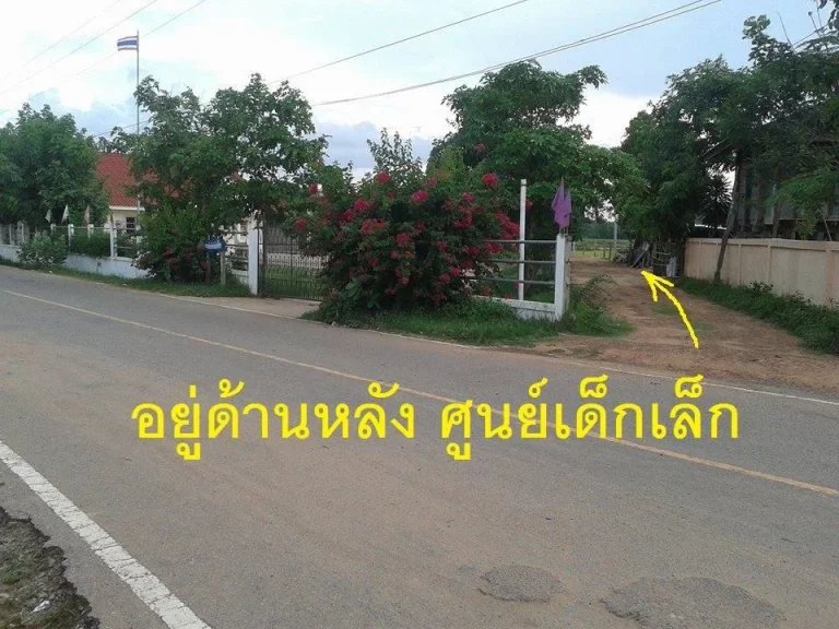 ขายที่ดิน อเปือยน้อย มีน้ำ ไฟฟ้า สร้างบ้านได้ ทำการเกษตรได้