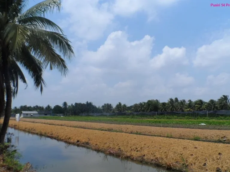 ถูกและสวย ขายที่ดิน 16 ไร่เศษ เข้าออกสะดวก ใกล้ ถสายใยรัก ถเศรษฐกิจ ด่วน - ขายที่ดินสมุทรสาคร