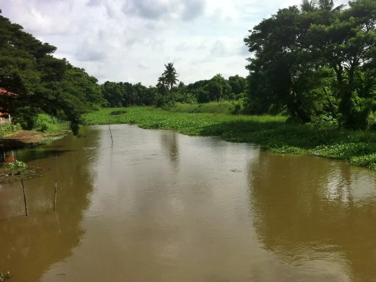 ที่ดินเหมาะทำเกษตร ปลูกบ้านสวนริมน้ำ