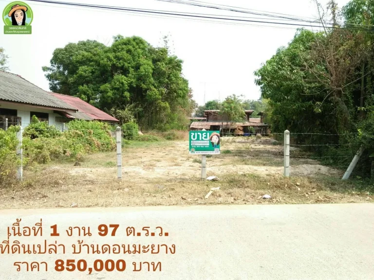 ที่ดินสร้างบ้านเนื้อที่เกือบ 2 งาน บ้านดอนมะยาง จยโสธร