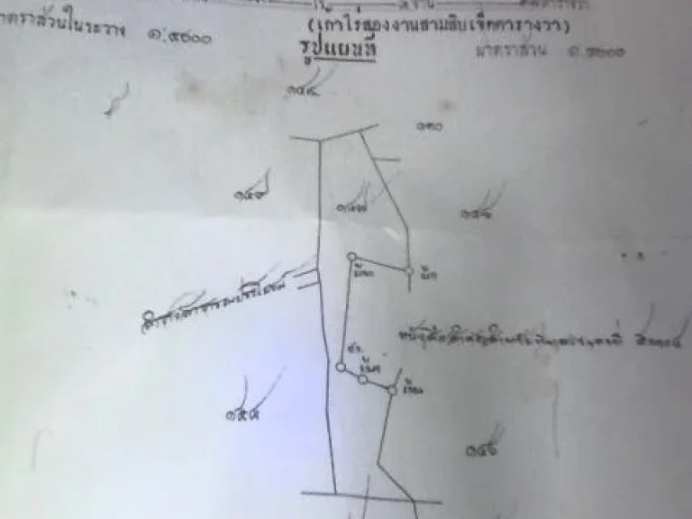 ขายทื่นา 9ไร่