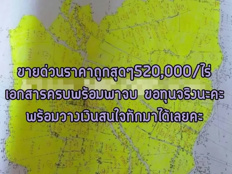 ขายด่วนที่จังหวัดระยองเนื้อที่3572ไร่ ราคาถูกสุดๆ520000ไร่ เอกสารครบขอทุนจริงพร้อมวางเงิน