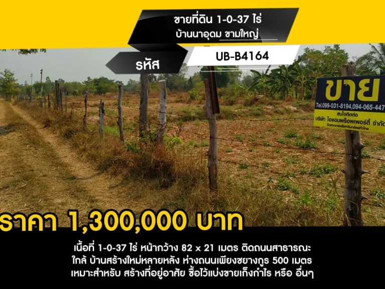 ขายที่ดิน 1-0-37 ไร่ บ้านนาอุดม ขามใหญ่