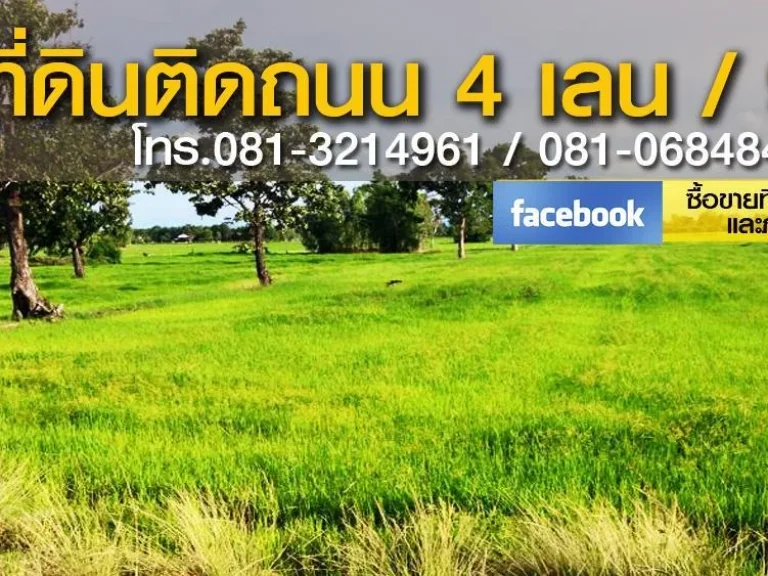 ขายที่ดินติดถนน 4 เลน 9 ไร่