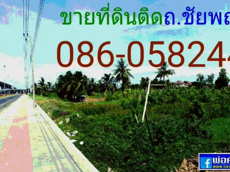 ขายที่ดินติดถนนชัยพฤกษ์ 578ตรว