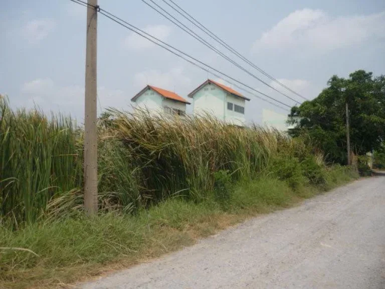 ขายด่วนที่ดิน 10 ไร่ ถนนร่มเกล้า-สุวินทวงศ์ บึงขวาง มีนบุรี